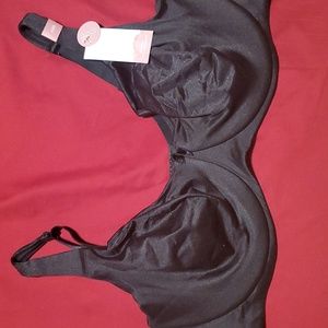 Cacique (Lane Bryant) bra